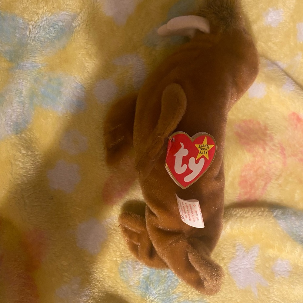 Ty Beanie Babies Paul the Mammoth Plush